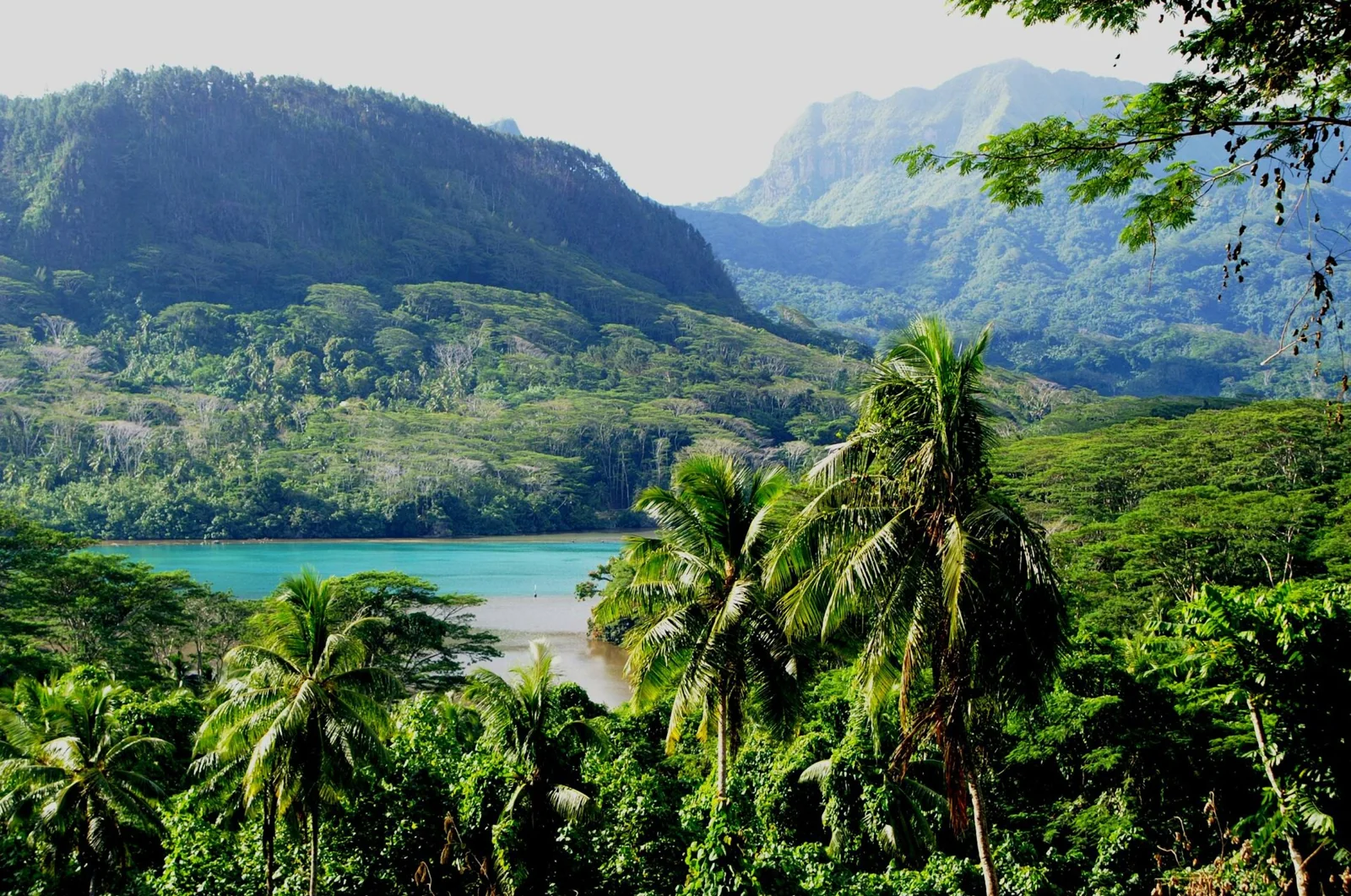 La baie de Haapu entourée de montagnes et de cocotiers.