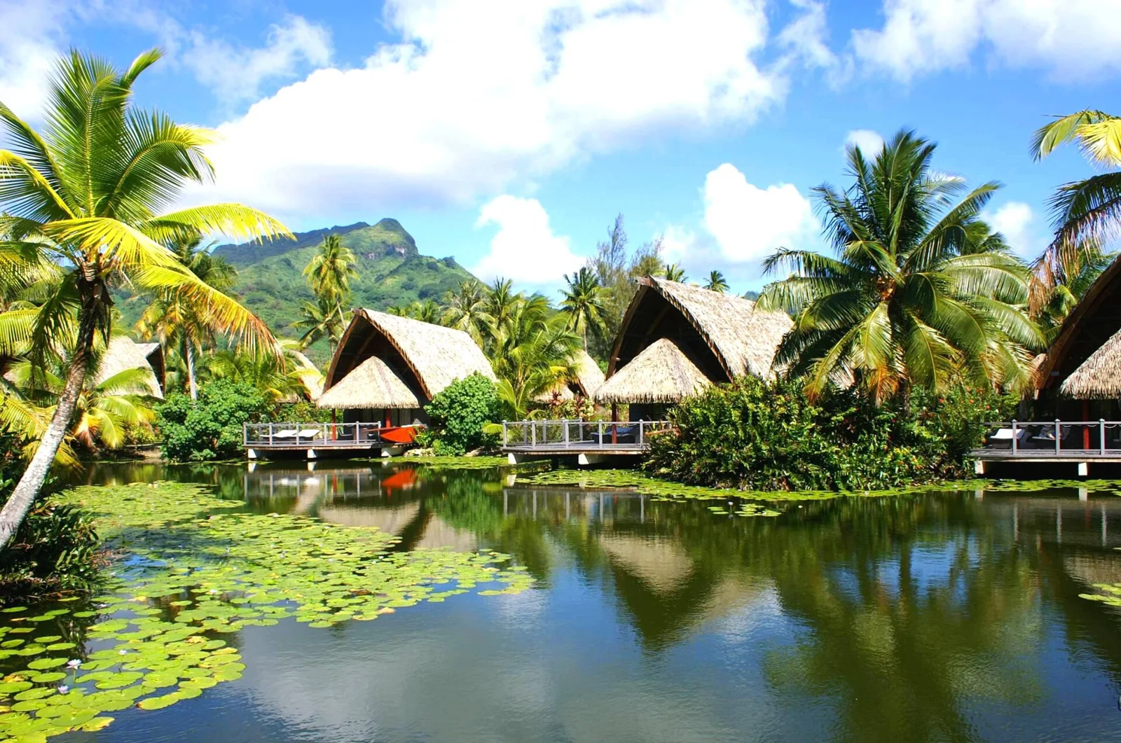 Les bungalows du Maitai Lapita Village dans leur jardin.