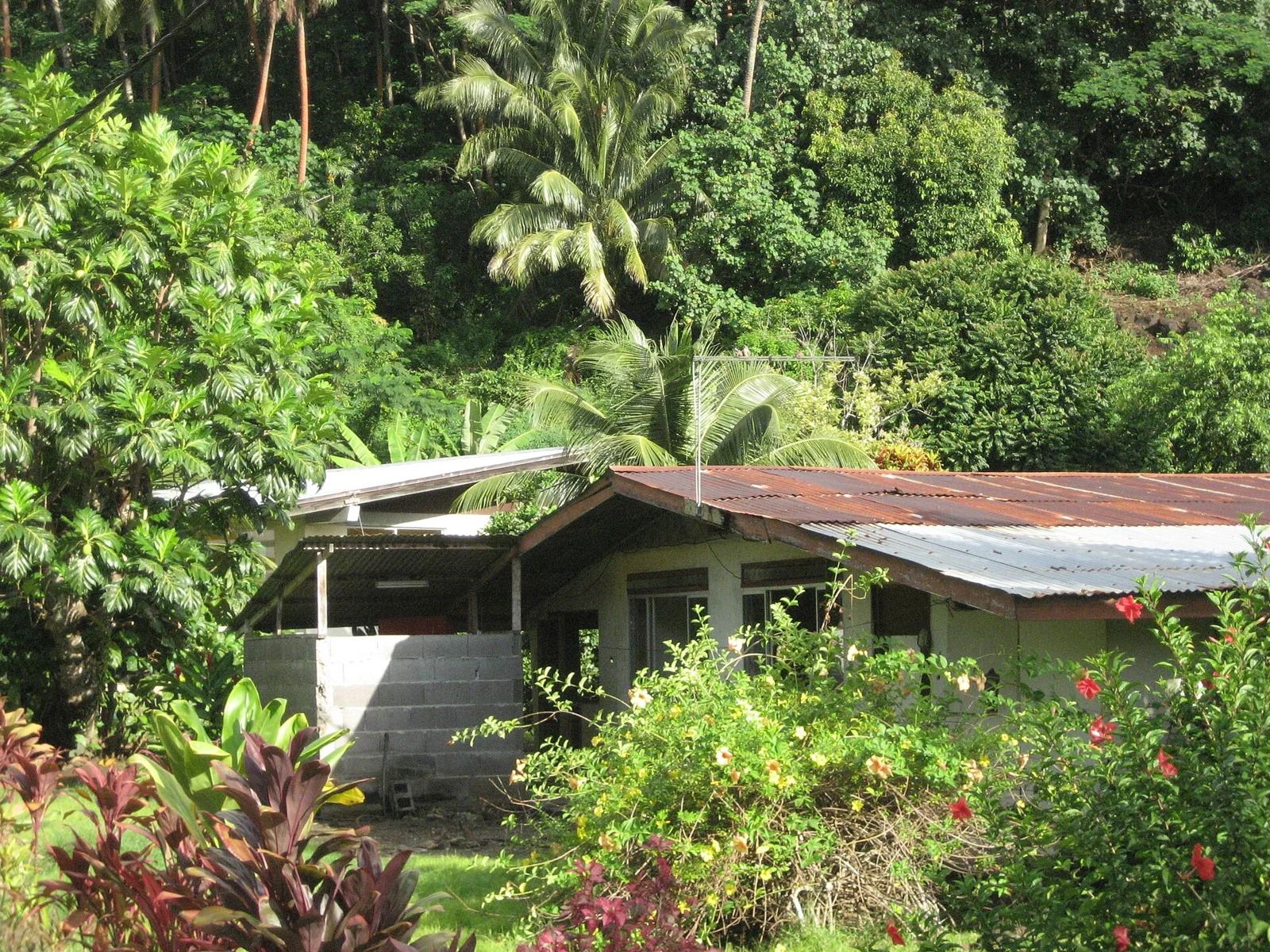 Une maison entourée de végétation à Huahine.