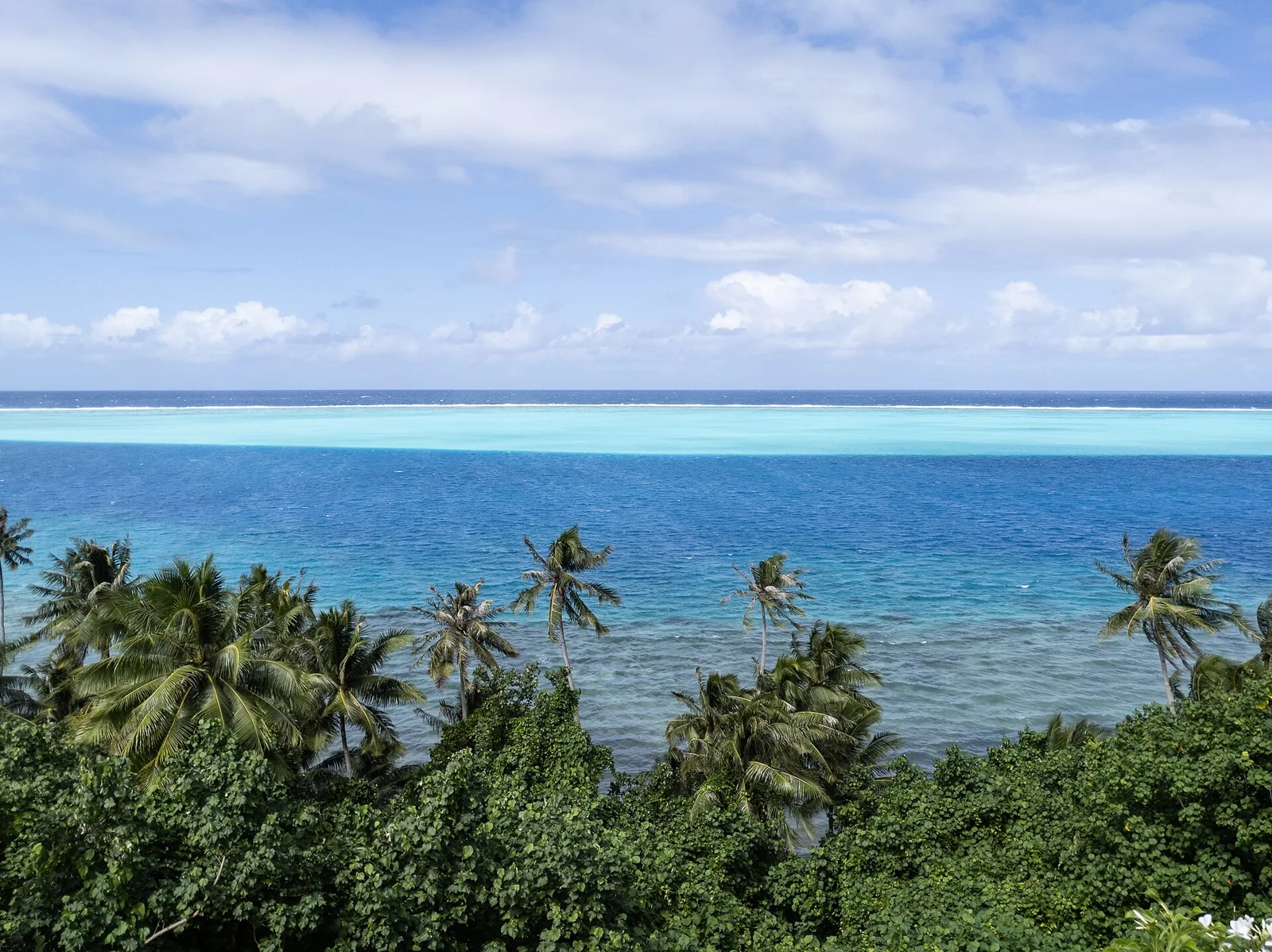 Les cocotiers au-dessus du lagon turquoise de Huahine.