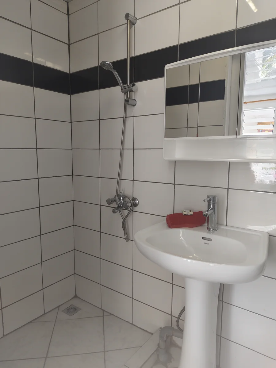 Salle d eau carrelee avec douche et lavabo chez Fare Ara Location.