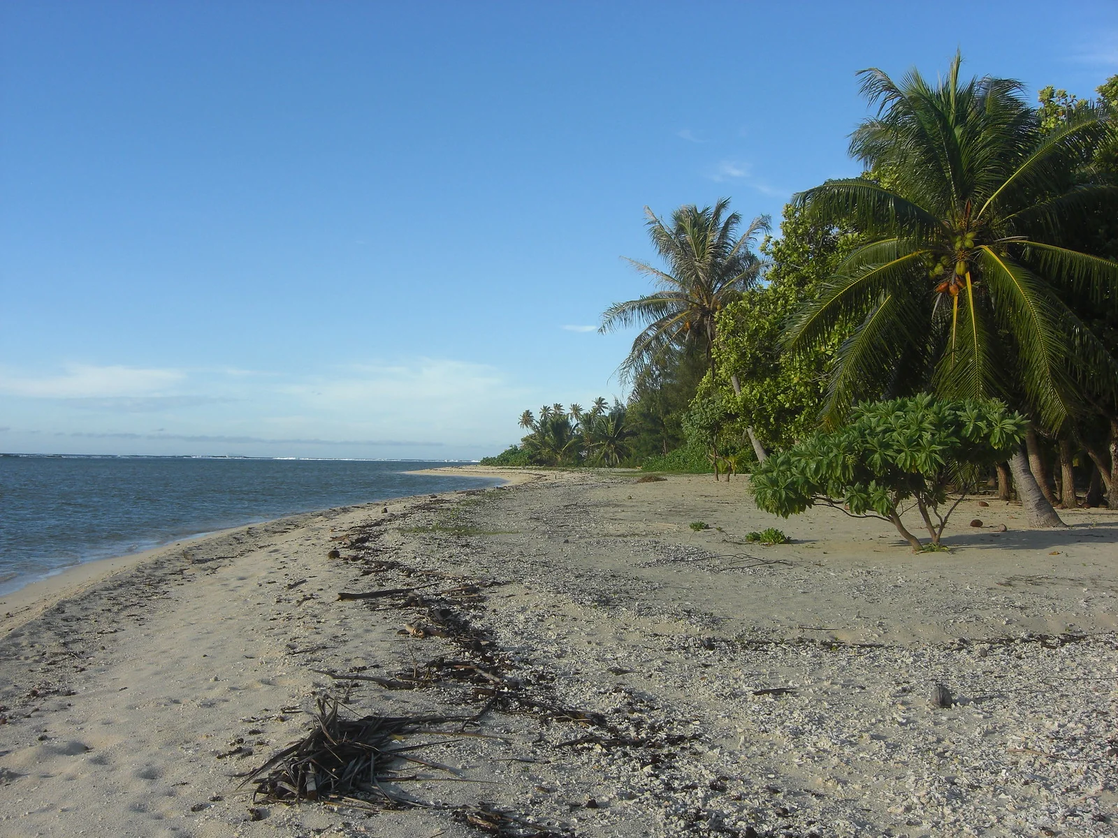 Le sable, les cocotiers et le littoral de Parea.