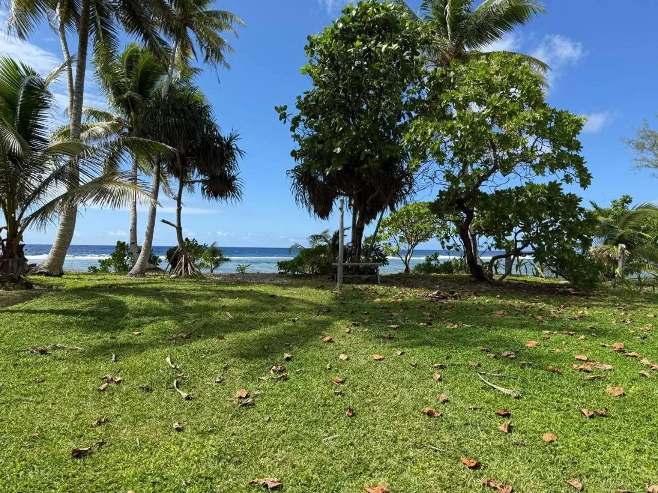 Pelouse et cocotiers en bord de mer à Hitimahana Lodge
