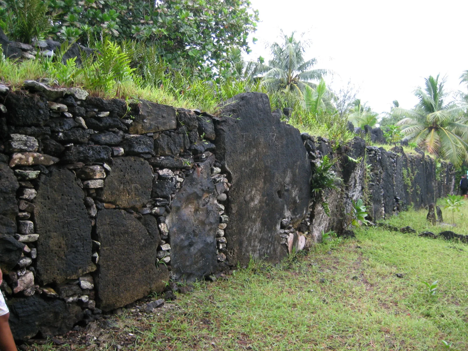 La plateforme de pierre du marae Manunu, devant les palmiers et la végétation de Huahine.
