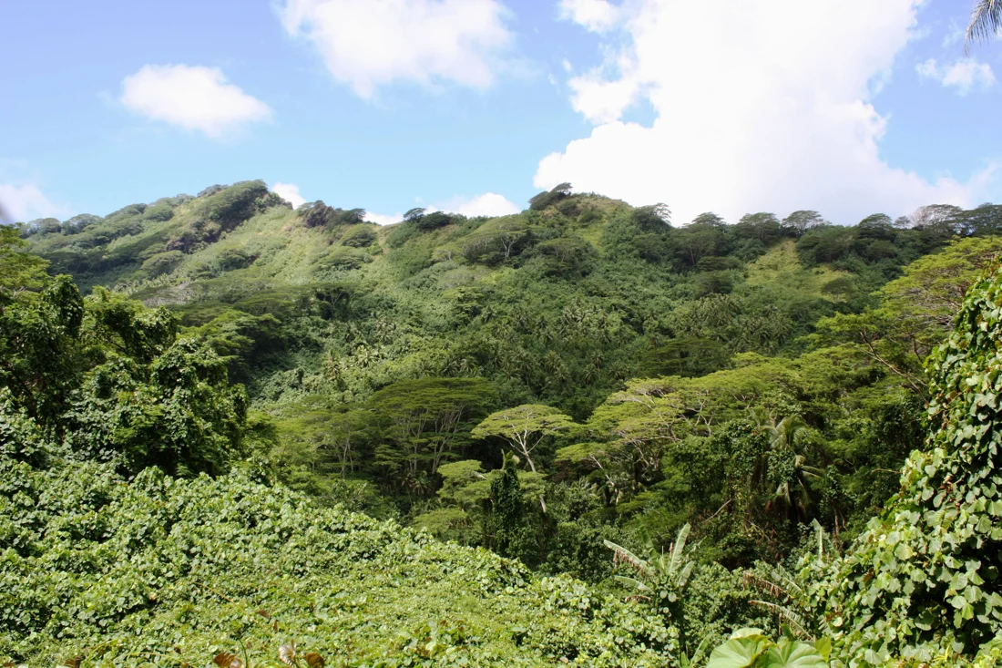 Les versants verdoyants et la forêt tropicale de Huahine.