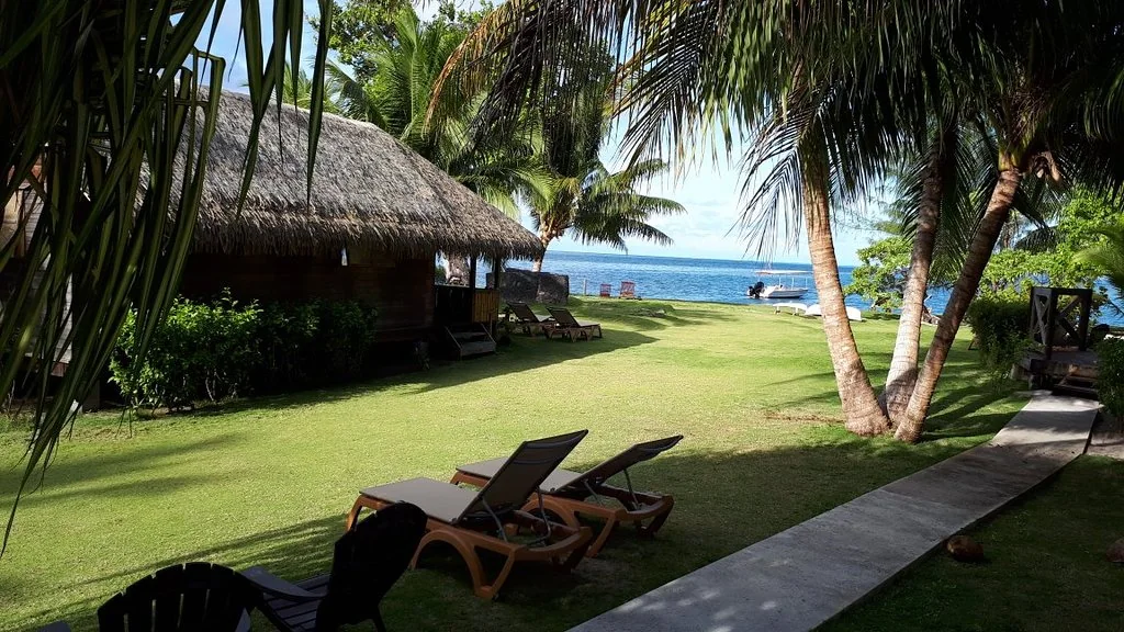 Jardin du Moana Lodge avec transats, bungalows et accès au lagon