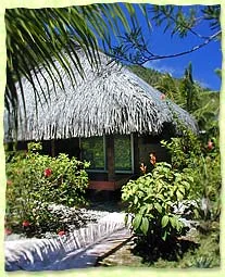 Bungalow du Motel Vanille au toit de palmes dans le jardin