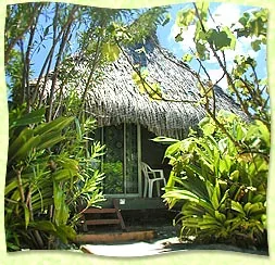 Bungalow Napoléon du Motel Vanille entouré de plantes