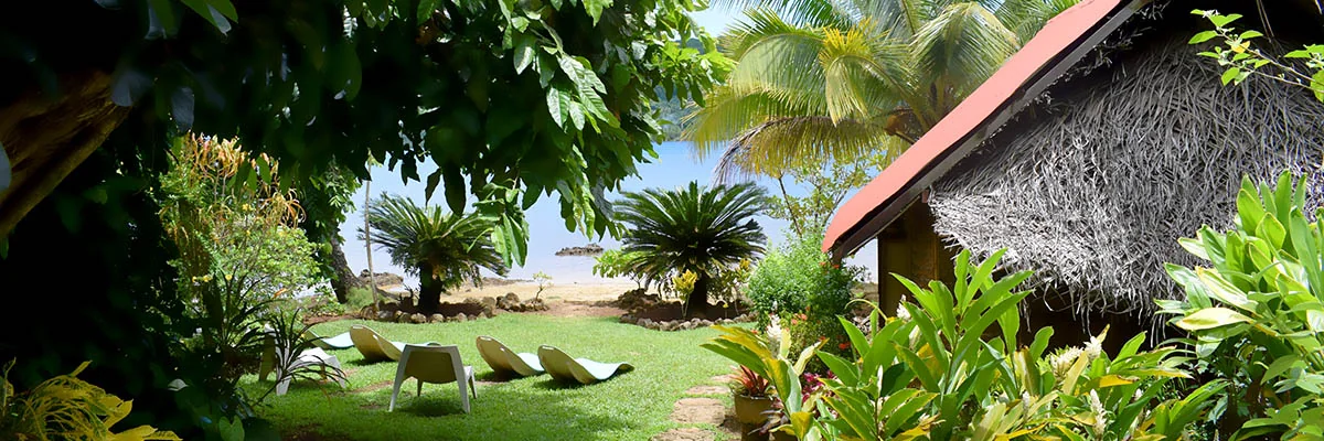 Le jardin tropical et ses bungalows.