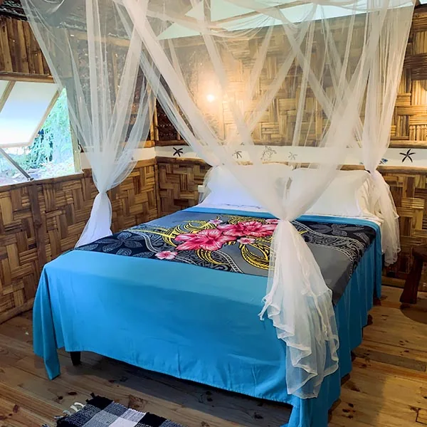 Une chambre avec moustiquaire.